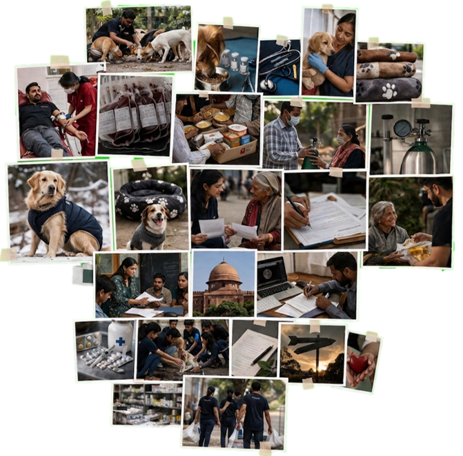 We Care